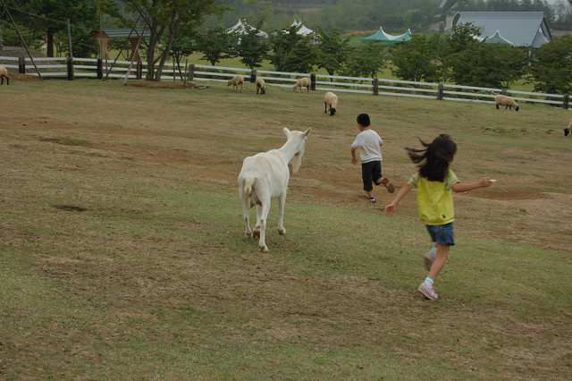 牧歌の里　(1)_c0050163_2145843.jpg