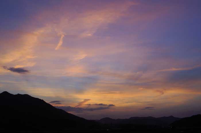 e0019563_072747.jpg