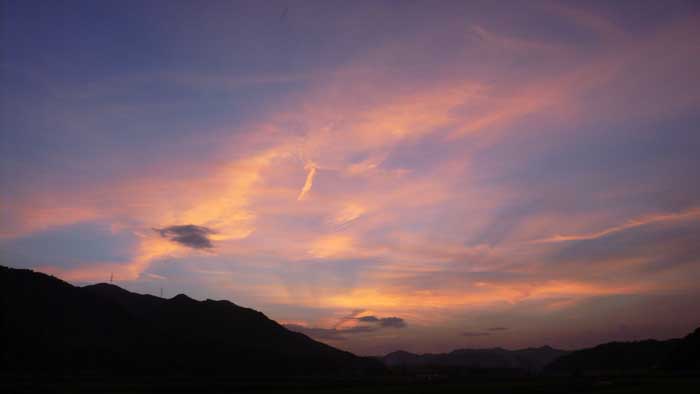 e0019563_074289.jpg
