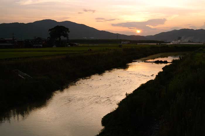 e0019563_07629.jpg