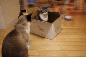 a0055567_2328840.gif