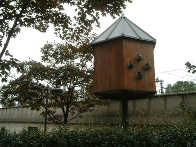 d0085274_4263028.gif