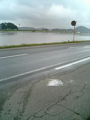 福井で豪雨_b0059576_1451086.jpg