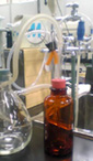 e0060483_161299.jpg