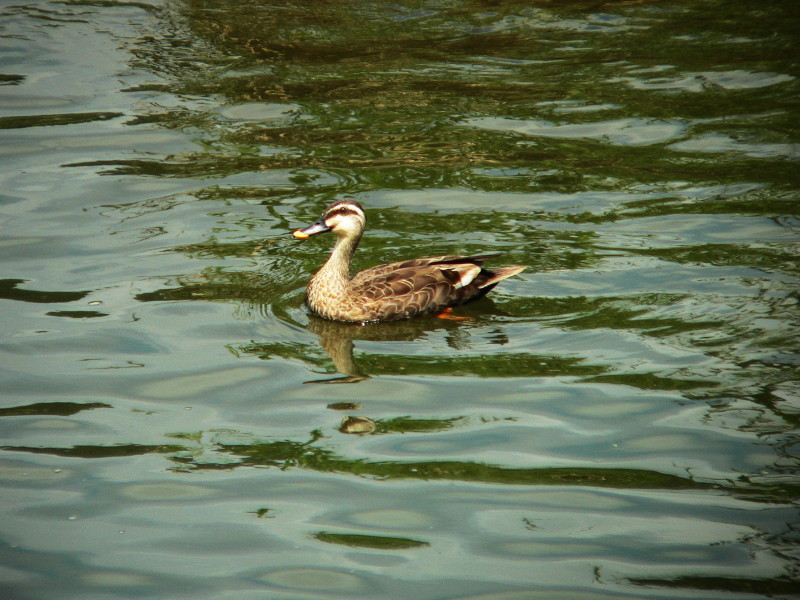 c0081492_21375054.jpg