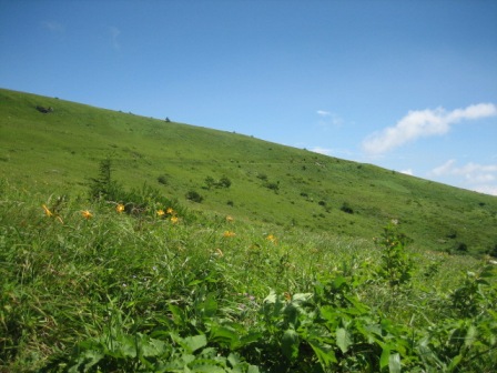 d0039992_104051.jpg