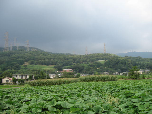 秋の気配に惹かれて_b0088037_214764.jpg