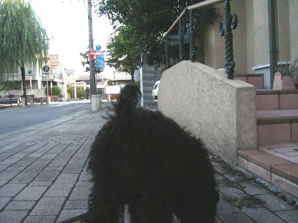 a0050838_20343599.jpg
