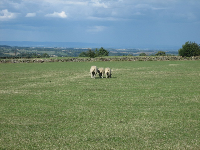 e0009547_6205789.jpg