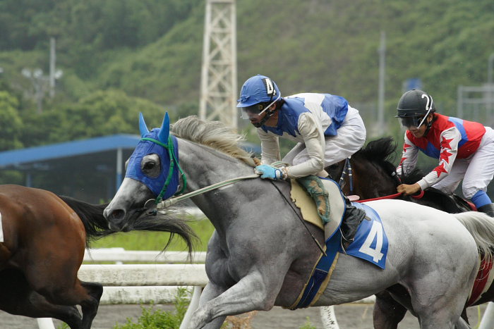 2006年8月19日（土） 高知競馬_a0077663_18281570.jpg