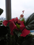 b0101263_17111482.gif
