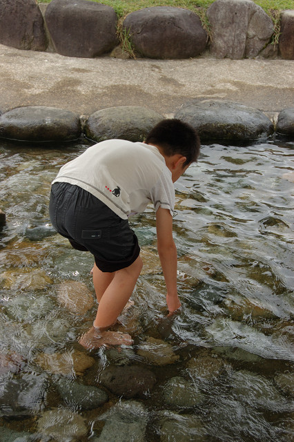 c0050163_83478.jpg