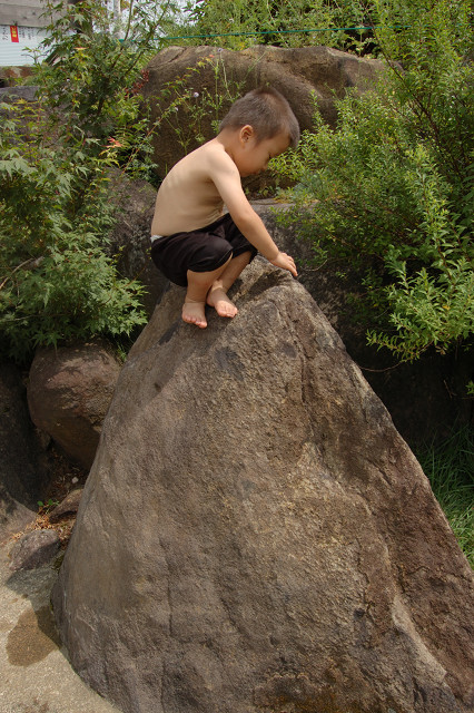 c0050163_845532.jpg