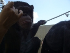 北海道旅行～2日目　旭山動物園～_f0079573_15534572.jpg