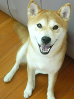 b0057675_98482.jpg