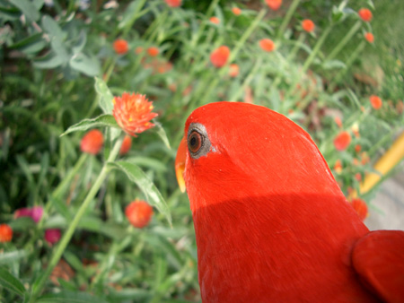 c0004078_19374434.jpg