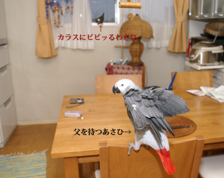c0004078_19381262.jpg