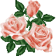 d0005397_22384970.gif