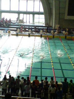 d0004800_11134589.jpg