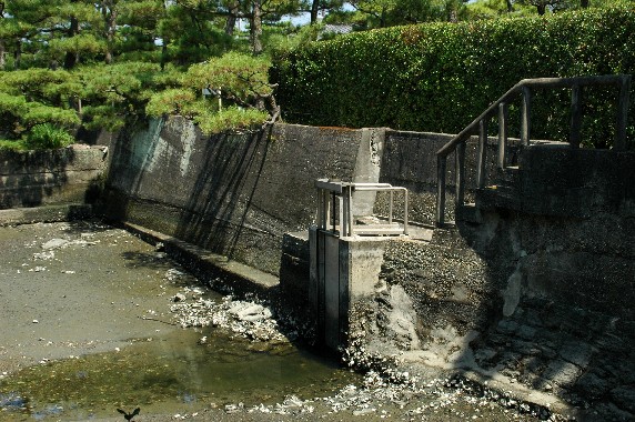 　　養 翠 園　（ようすいえん）　　７_b0093754_051845.jpg
