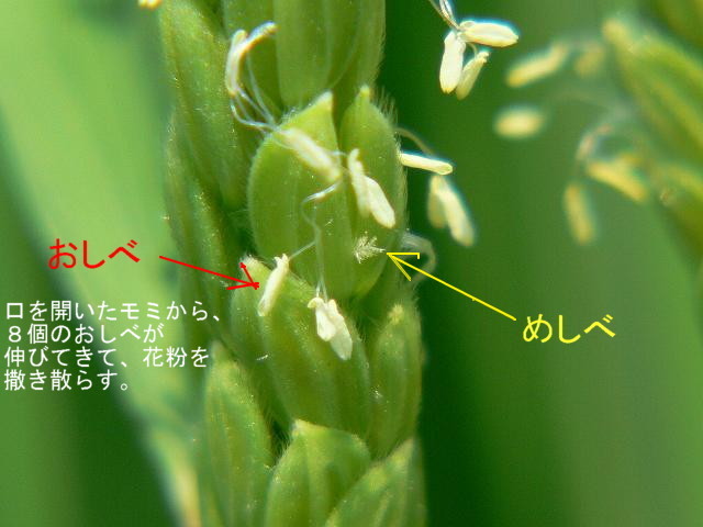 c0059854_2235040.jpg