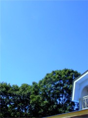 夏の青空_b0086858_2136197.jpg