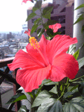 b0101263_14113532.gif
