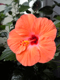 b0101263_149090.gif