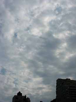 c0092467_84322.jpg