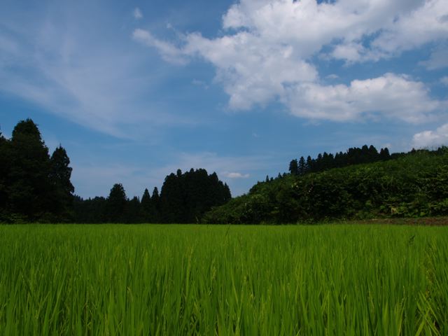 夏の空_a0025576_2328055.jpg