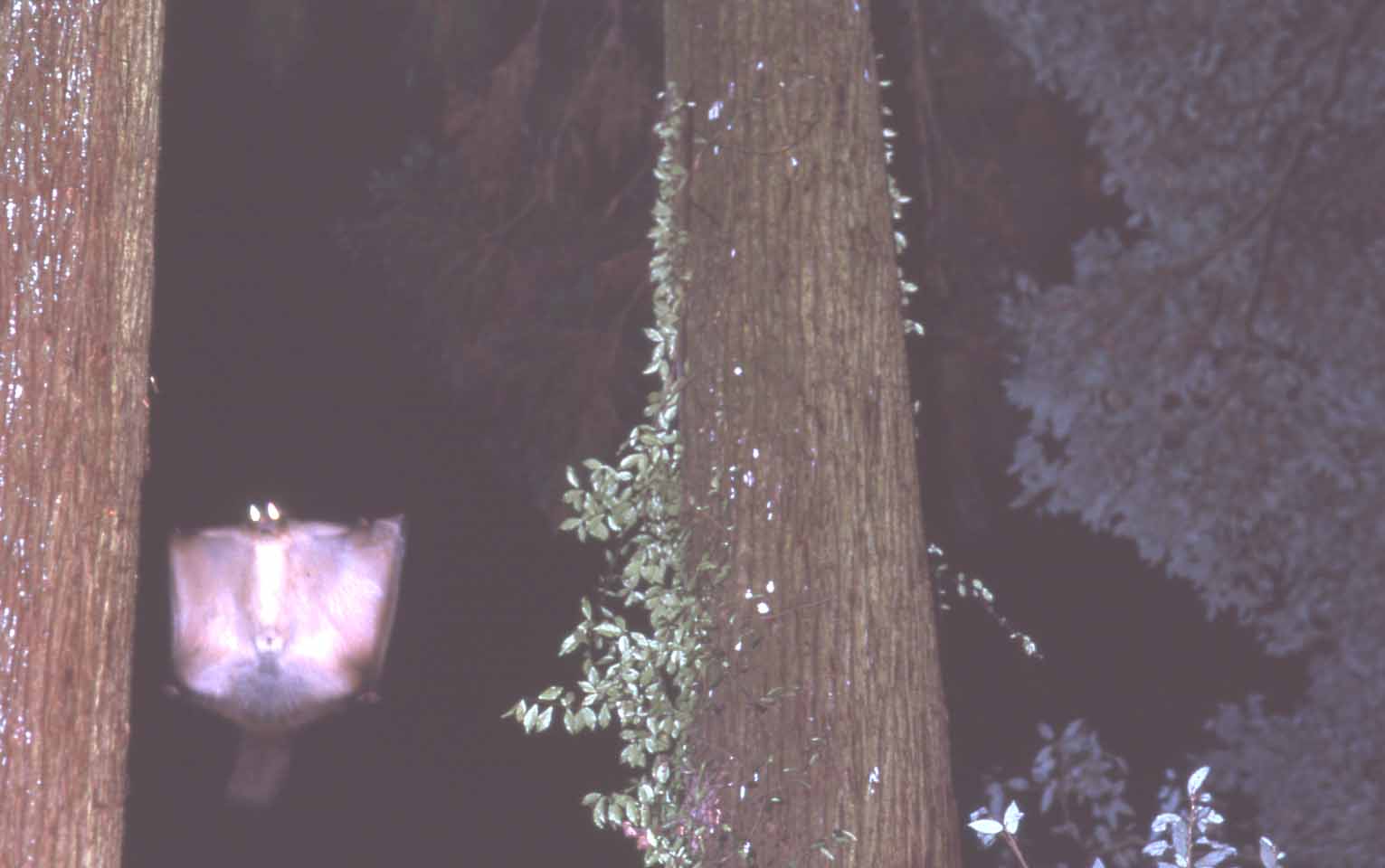 f0047593_20361973.jpg