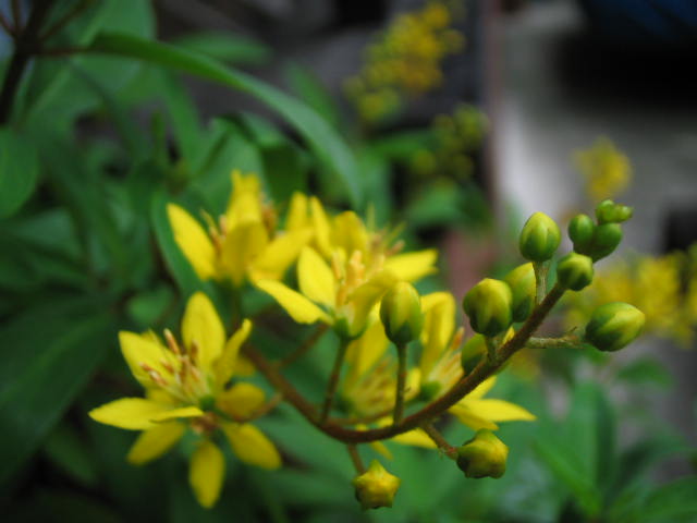 f0077595_201092.jpg