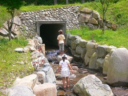 f0080598_156246.jpg