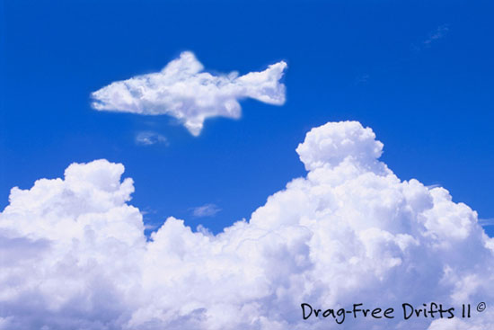 魚雲 : Drag-Free Drifts II