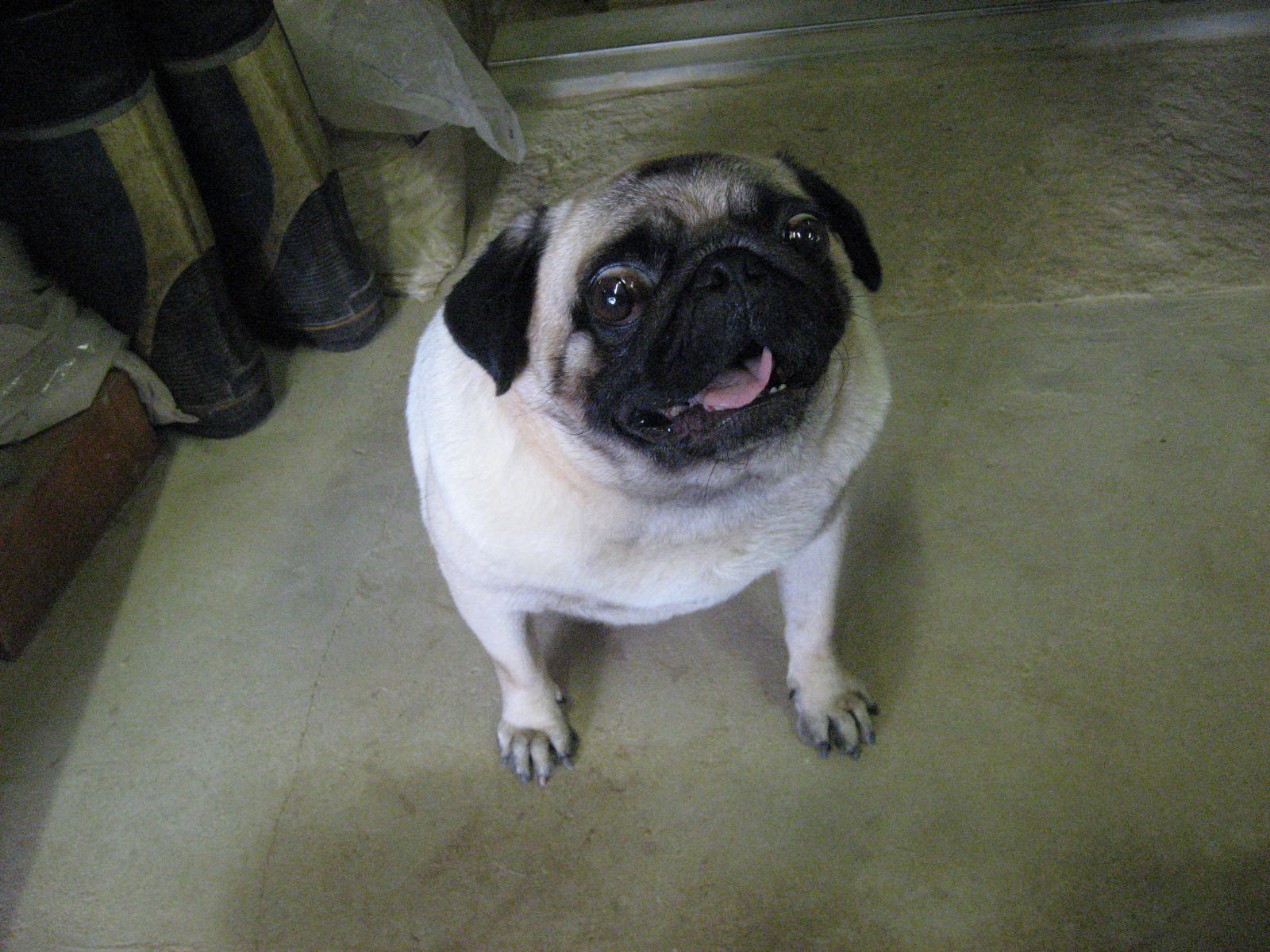 e0001406_20471721.jpg