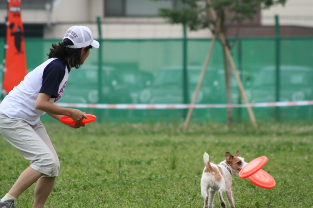 a0040708_23236.jpg