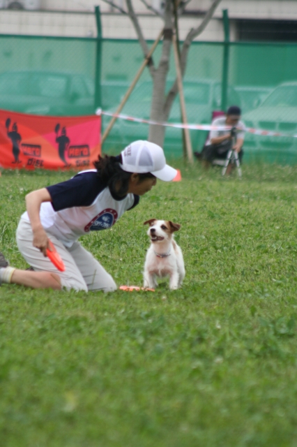 a0040708_243345.jpg