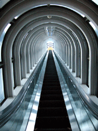 a0055913_0415966.gif