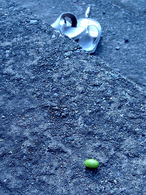 c0003723_82371.jpg