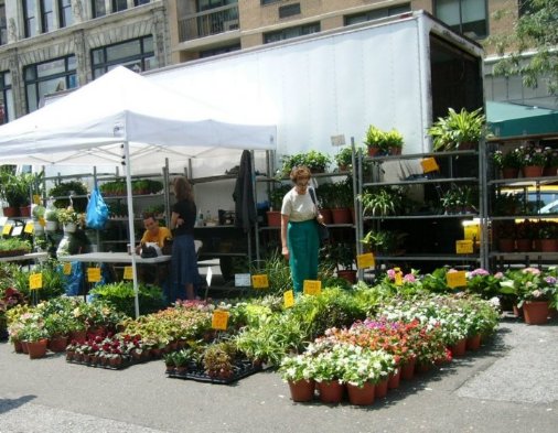 Union Square Market_f0032635_2114021.jpg