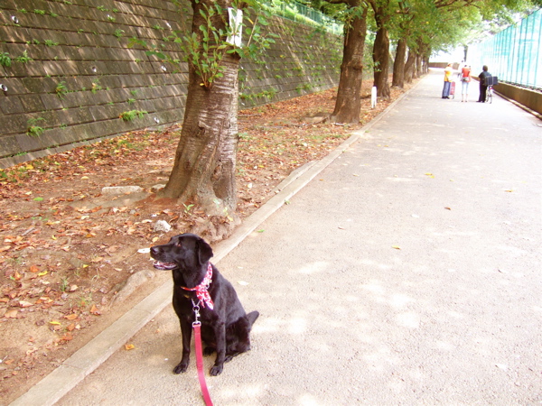 c0039145_175987.jpg