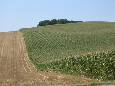 b0069848_52751.jpg
