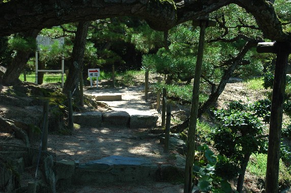 　　養 翠 園　（ようすいえん）　　８_b0093754_0532564.jpg