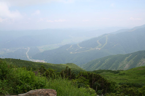 標高1830メートルの別天地で山登り気分を体験！_a0003259_13261368.jpg