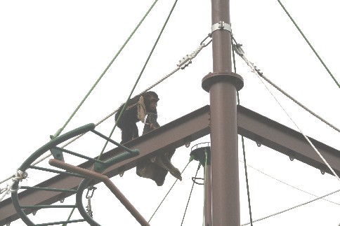 f0000866_67611.jpg