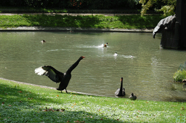 Square des Batignolles_d0085274_2193910.gif