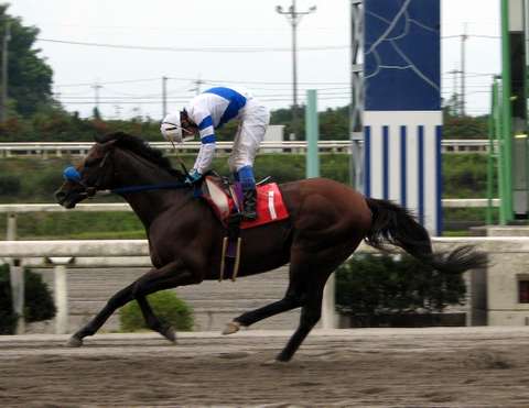 8月26日高知競馬その2_f0001379_22271991.jpg