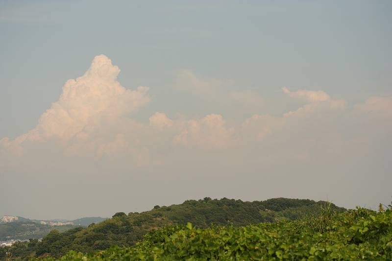 e0024081_17281246.jpg