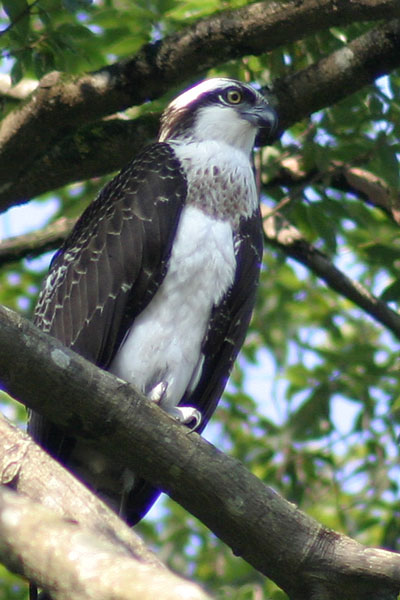 c0038290_17434087.jpg
