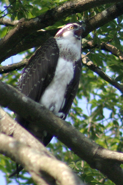 c0038290_17435276.jpg